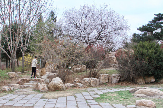 長春公園