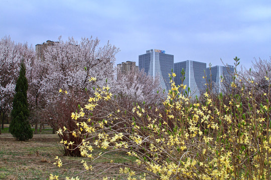 長(zhǎng)春公園