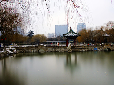 冬日?qǐng)@林風(fēng)景