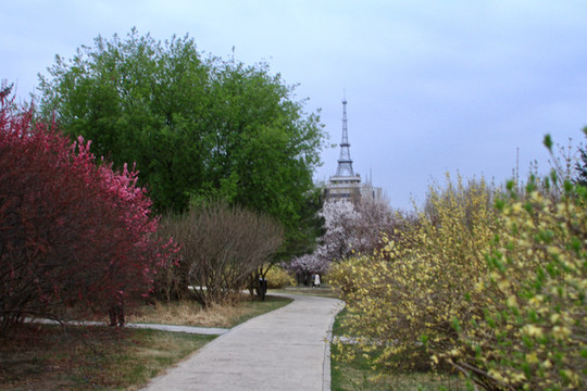 長春公園