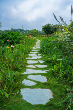 農(nóng)村鄉(xiāng)村田間小路石板路