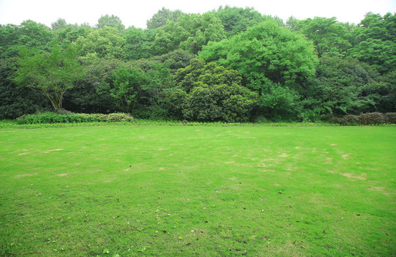 公園景觀