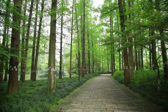 公園景觀