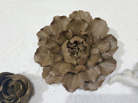 生石花素材