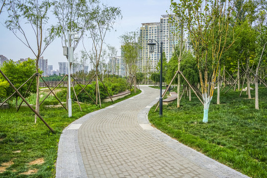 天津梅江居住區(qū)高清大圖