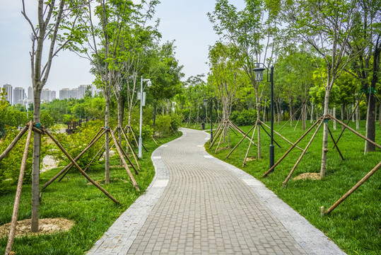 天津梅江居住區(qū)高清大圖