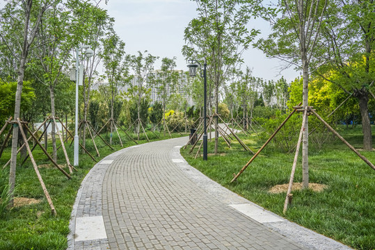 天津梅江居住區(qū)高清大圖