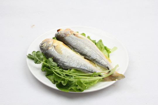 烹飪食材