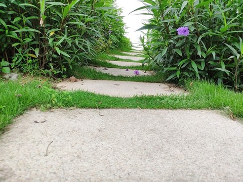 石板小路