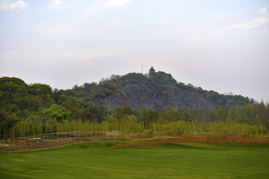 上海辰山植物園