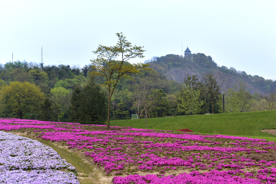 上海辰山植物園
