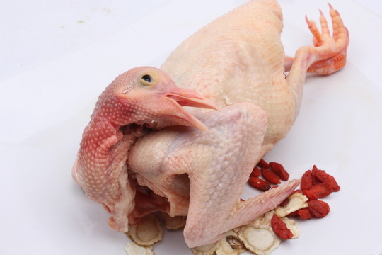 烹飪食材
