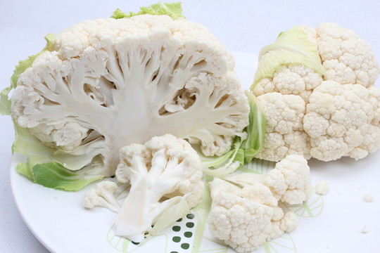 烹飪食材