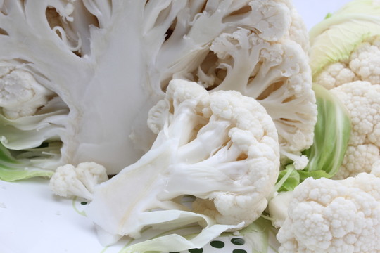 烹飪食材