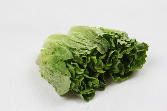 烹飪食材
