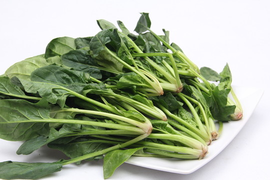 烹飪食材