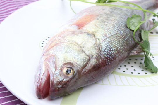 烹飪食材