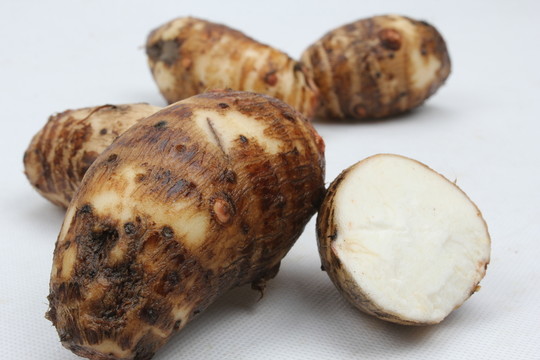 烹飪食材