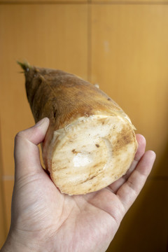 冬筍底部