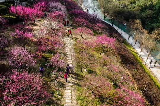 梅花匡河