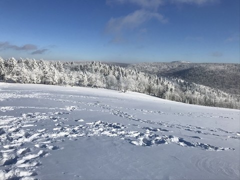 大禿子山