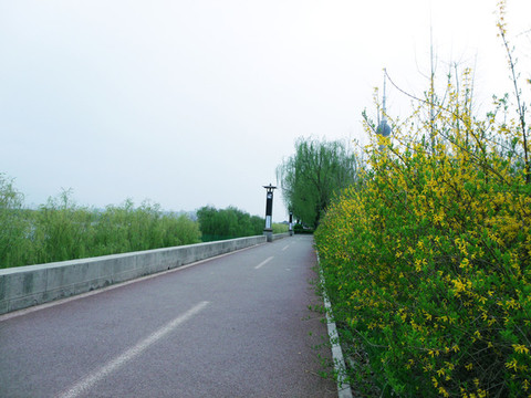 公園風(fēng)景