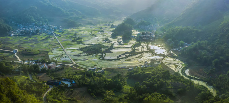 黑爾水田風(fēng)光