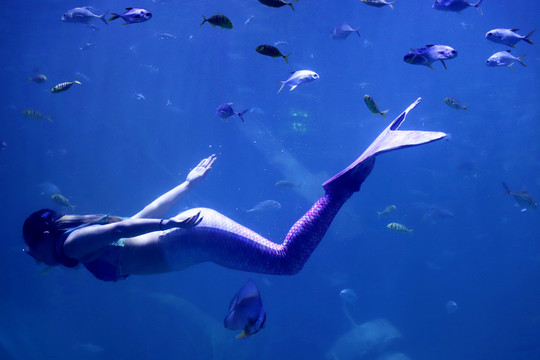 美人魚