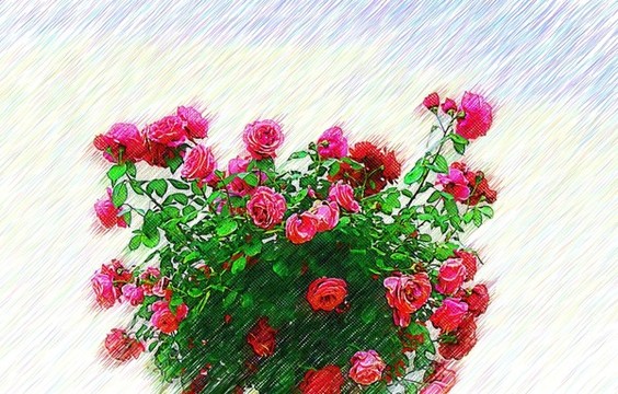 花卉油畫