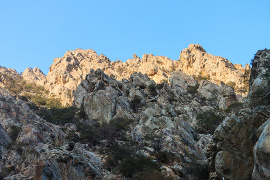 賀蘭山