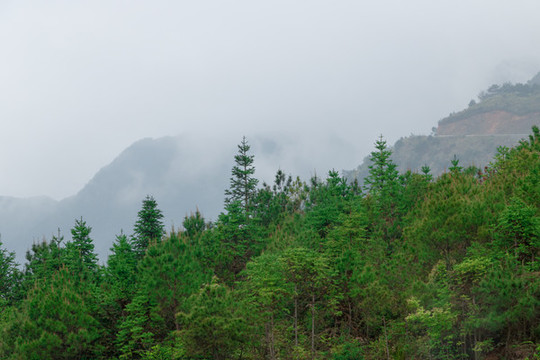 朦朧群山