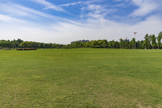 公園草坪