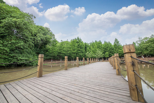 重慶九曲河濕地公園棧道