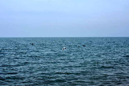 青海湖