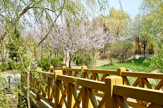 長春伊通河
