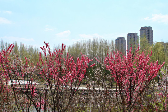 伊通河