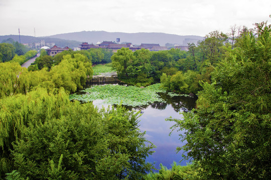 鞍山玉佛寺荷花池與建筑群