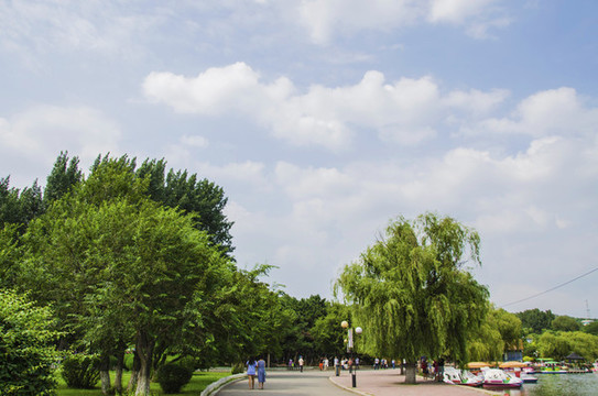 鞍山二一九公園湖邊小路與樹木