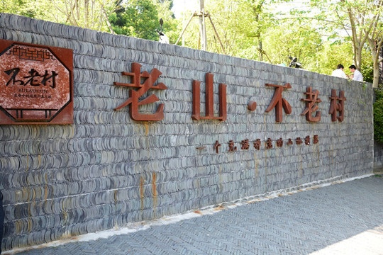 南京浦口老山不老村