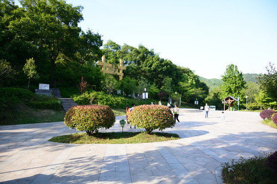 老山森林公園