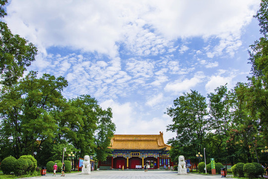 鞍山玉佛寺正門與樹木白云