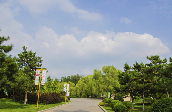 鞍山玉佛山上道路與漫天彩云