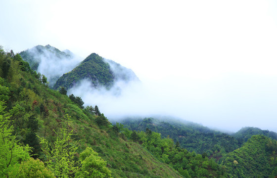 黃山