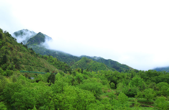 黃山