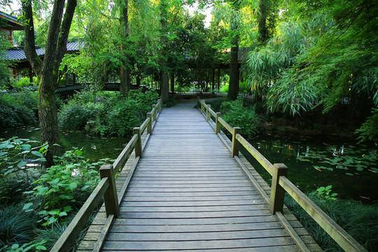 小木橋