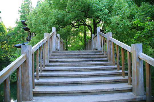 小木橋