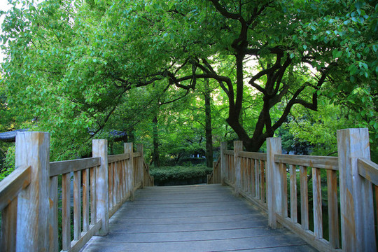 小木橋
