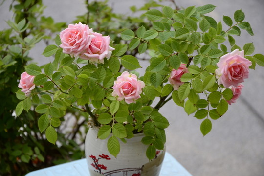 花瓶與玫瑰