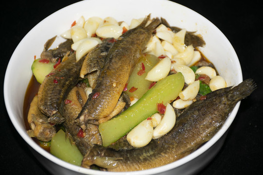 家常鰍魚(yú)