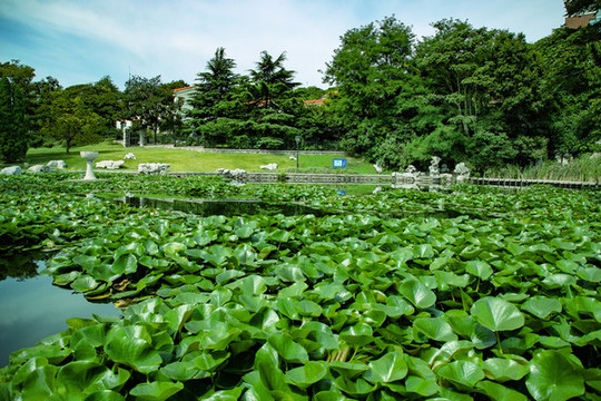 雕塑園